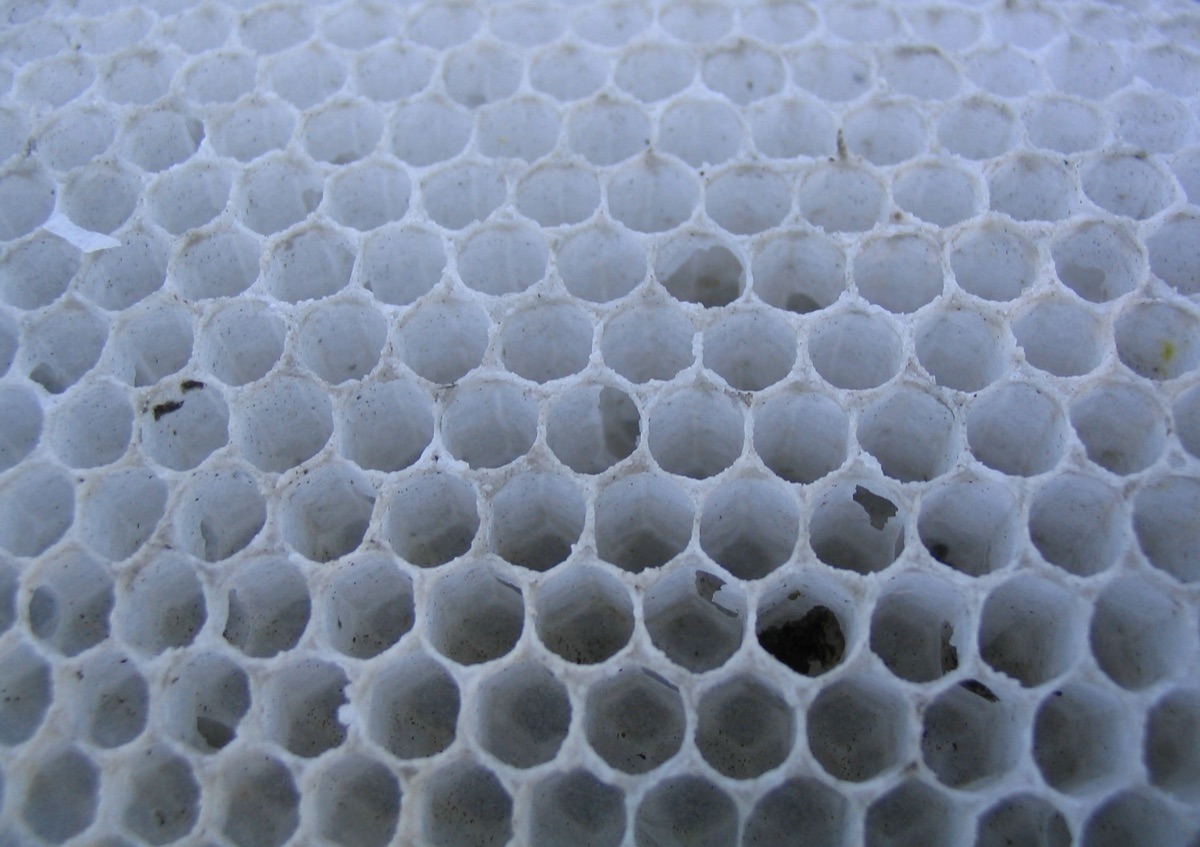 Close-up of empty honeycomb cells with rounded openings and faceted floors