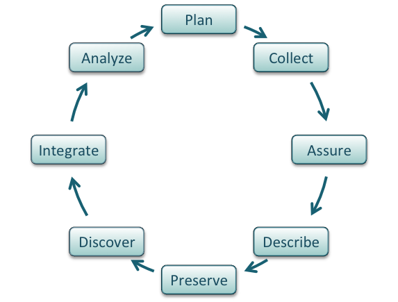 Data Life Cycle